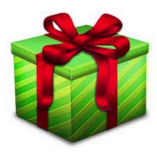 Christmas Present icon