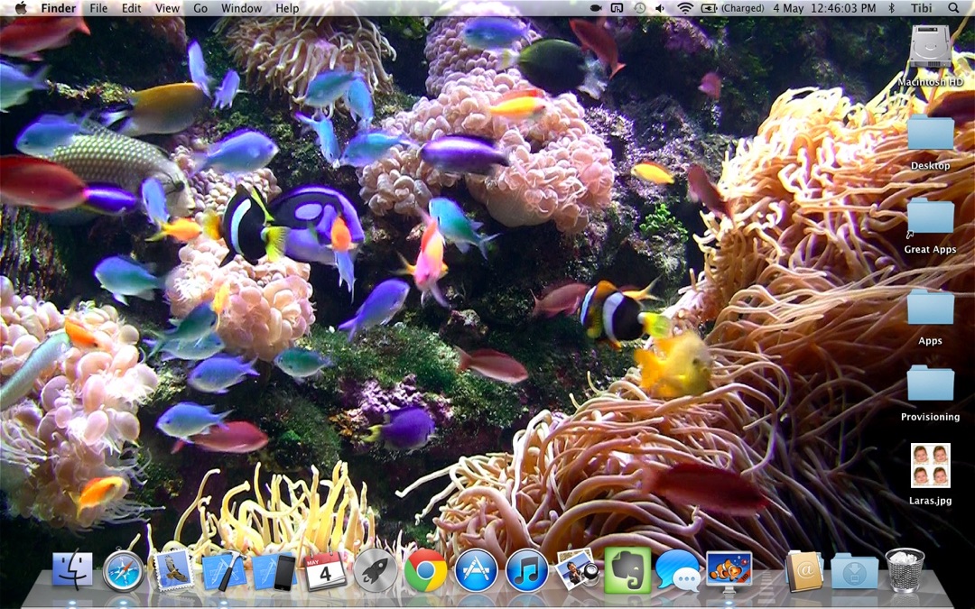 Desktop Aquarium Relaxing Live Wallpaper Background Online