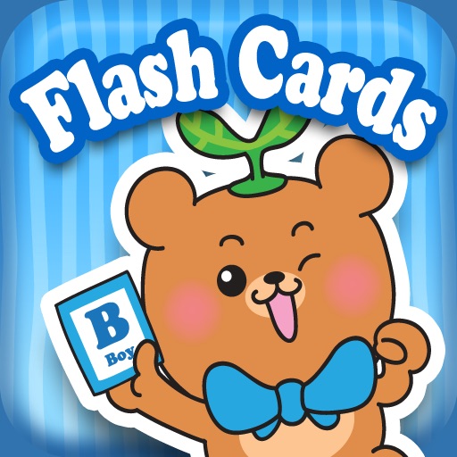 Dr Kids DIY Flash Cards HD