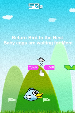 Bird to Nest screenshot 2