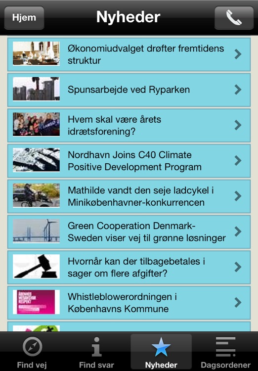 Borgerservice screenshot-3