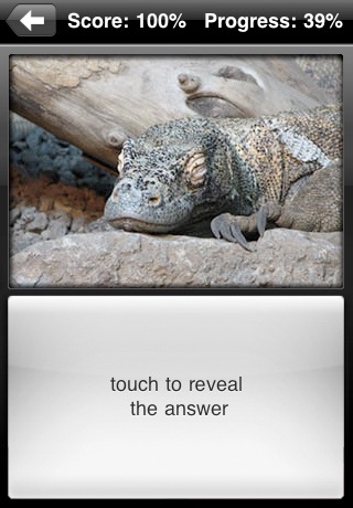 Lizard Flip: Flashcards of Dragons & Lizards screenshot 4