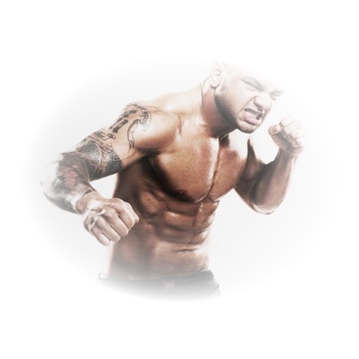Real Fighters for iPhone icon