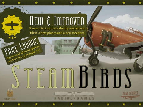 SteamBirds HD на iPad