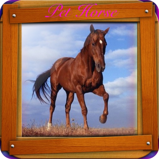 Pet Horse icon