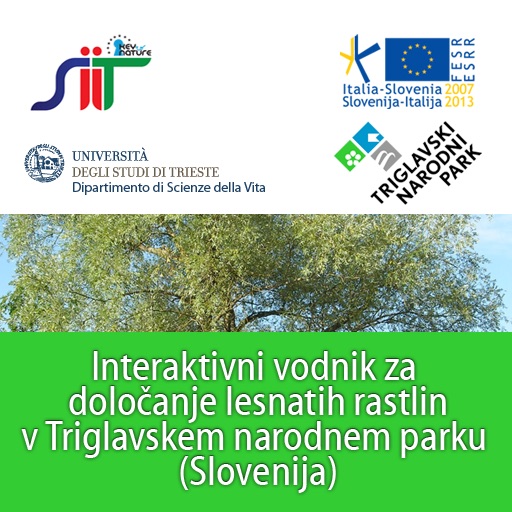 Interaktivni vodnik za določanje lesnatih rastlin v Triglavskem narodnem parku (Slovenija) icon