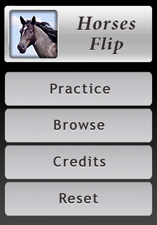 Horses Flip: Flashcards of Horse Breeds screenshot 4