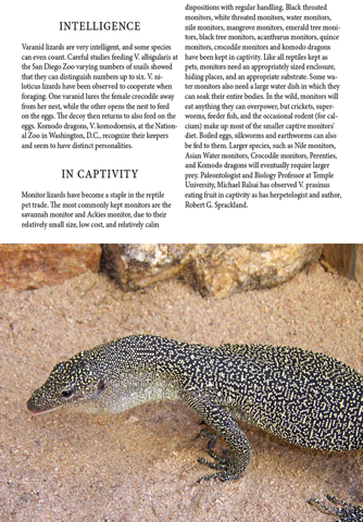 Lizards Magazine screenshot 4