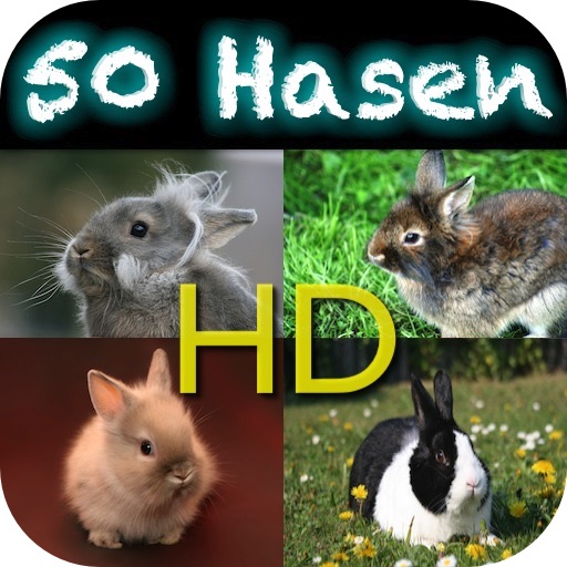 50 Hasen HD - ausgewählte Hasenfotos icon