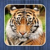 ジャングルのパズル - 子供のためのジグソーパズル - iPhoneアプリ