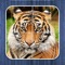 Icon Jungle puzzle - jigsaw puzzle for kids
