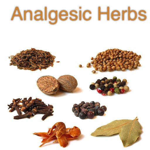 Analgesic Herbs