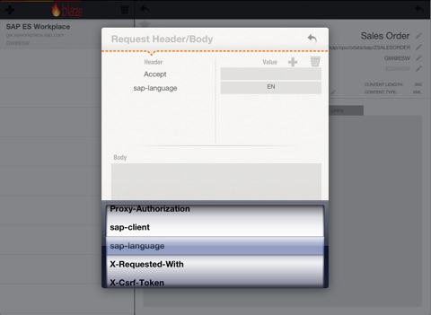 Blaze for SAP Netweaver Gateway screenshot 4