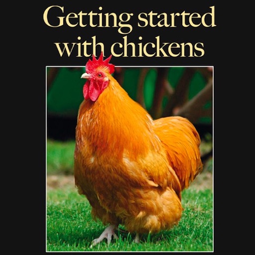 Getting Started With Chickens icon