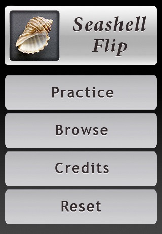 Seashell Flip: Flashcards of Sea Shells screenshot 3