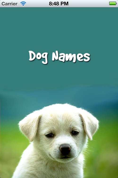 Dog Names