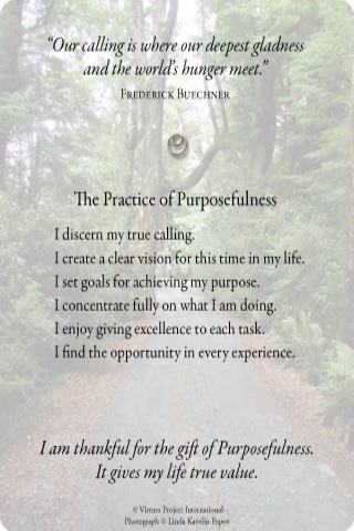 Virtues Reflection Cards screenshot-4