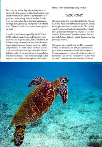 Turtle Magazine screenshot 3