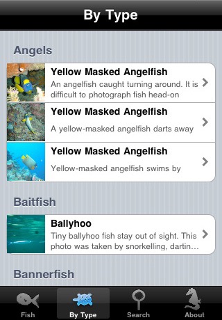 Reef Fish screenshot 2