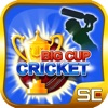 Big Cup Cricket