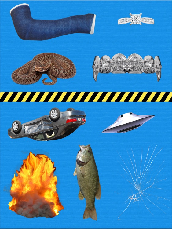 Insert Picture Prank - for iPad screenshot-4