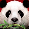Wild Panda casino slot game