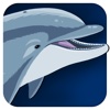 Sea Animals - iPhone edition