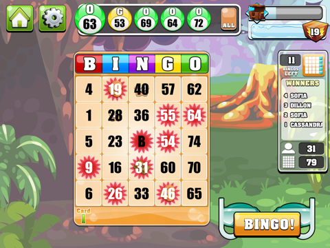 Bingo Casino HD!™ screenshot 3