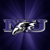 Purple Eagles - Niagara University Athletics
