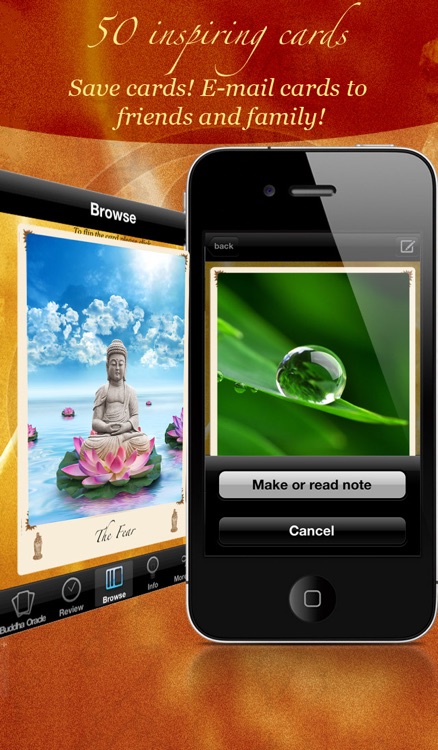 Wisdom Cards - Spiritual Catalog & Guidance