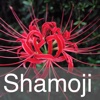Shamoji123