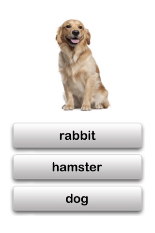 Autism iHelp – Animals screenshot 3