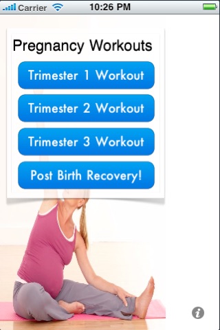 Pregnancy Workouts - Safe, Effective, Fun Workouts During Pregnancy screenshot 2