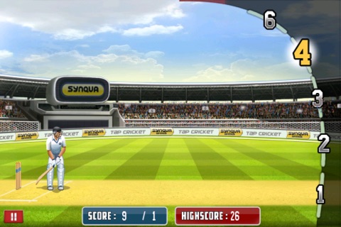 Tap Cricket 2012 screenshot 4