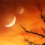 HD  Beautiful  Wallpapers