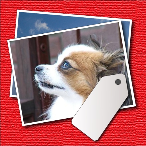 tagPhotos - Sorting photos by date icon