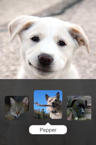 Clean My Screen — FREE Screen Cleaner with cute animals licking your face, one lick at a time screenshot 2