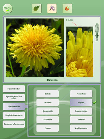 Biology - Plant handbook Freeのおすすめ画像4