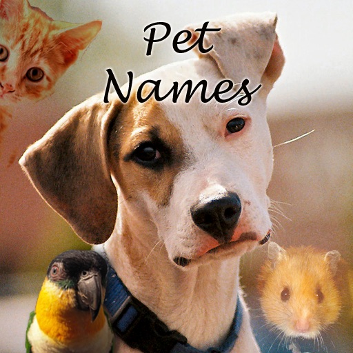 Pet Names: Dog, Cat, Hamster, Lizard and other Pet Names