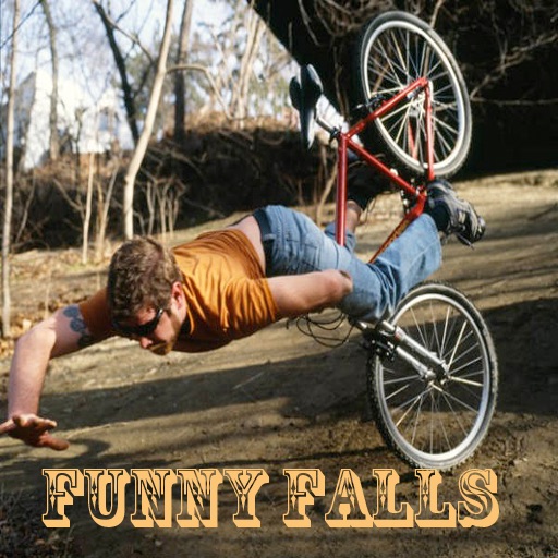 Funny Falls for iPad icon