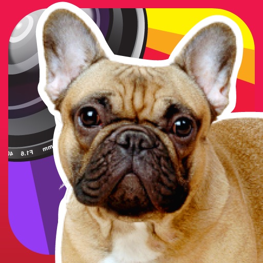 Dog Lovers Camera icon