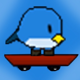 SkateBird iOS