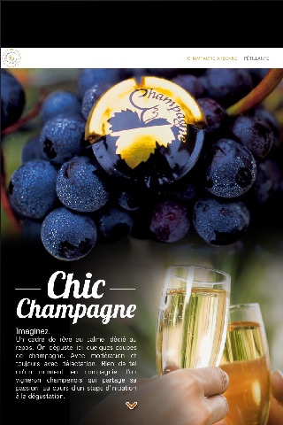 Champagne-Ardenne n°1 screenshot 3