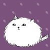 Fat Fluffy Cat