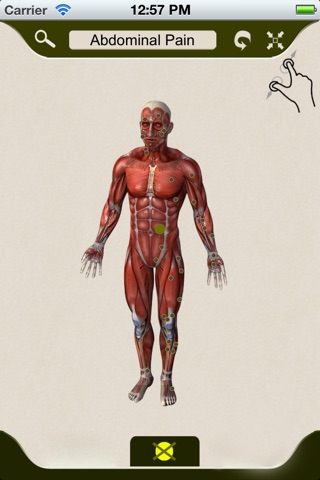 Trigger Points of Muscle screenshot 3