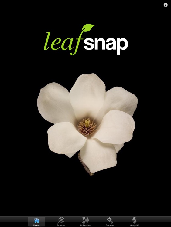 Leafsnap For iPad
