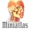 Miniatlas Anatomy is the perfect pocket tool for physicians