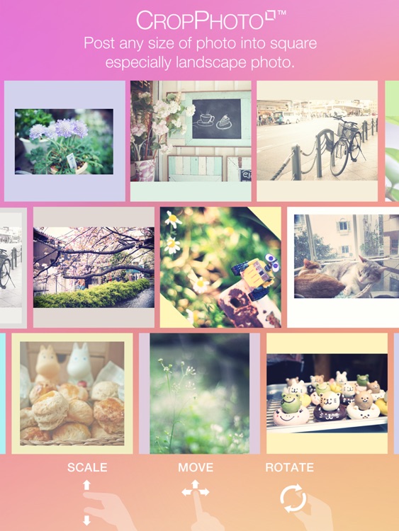 Crop Photo Square Free Post Full Frame Landscape
