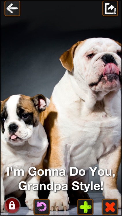 Craption It (Hilarious Photo Captions) - FREE