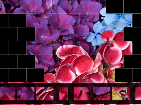 Puzzle Master Flowers HD Free screenshot 2